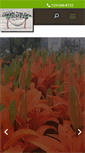 Mobile Screenshot of coloradotreefarmnursery.com